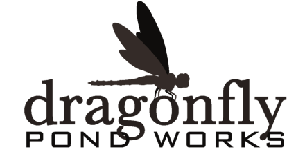 dragonfly-pond-works-logo-2.png